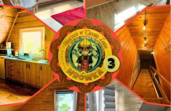 Wzgórze w Cieniu Lasu - Photo 63