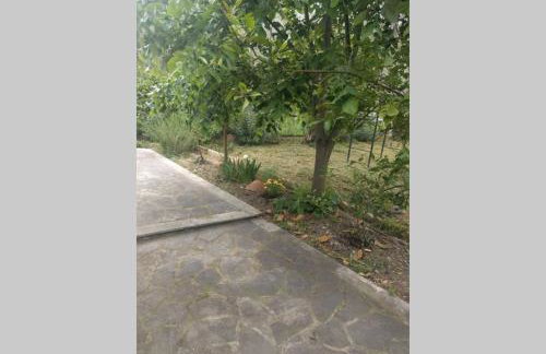 Irinis Cottage - Foto 18