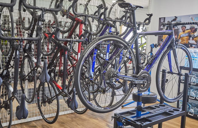 Son Caliu Apartamentos - Photo 35