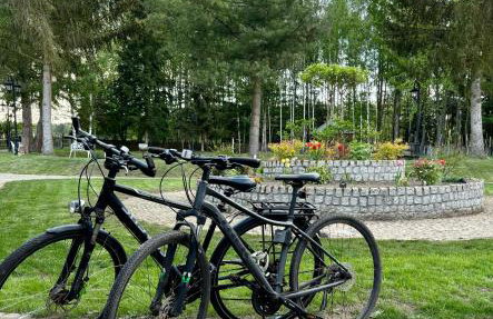 Osada Gęsin - Foto 46