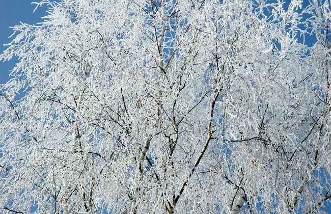 Cottage Faflik - Air Con And Own Sauna, Swedish House no 001 - Foto 60