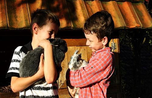 Anitas Landerlebnis - Foto 31