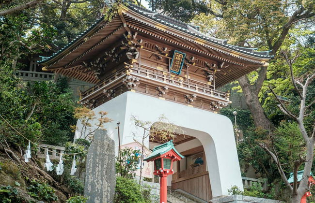 Excursión privada a Kamakura y Enoshima - Foto 6