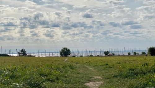 194 Fewo Dat LütjeHuus mit Dachterrasse im ersten Stock - Foto 4