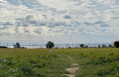 194 Fewo Dat LütjeHuus mit Dachterrasse im ersten Stock - Foto 4