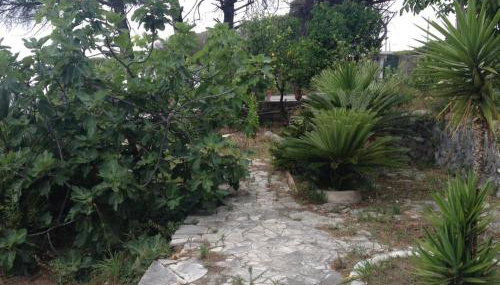 Villa Gianna - Foto 4