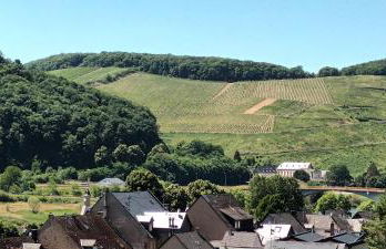 Buergerhaus Zeltingen Fewo - Foto 18