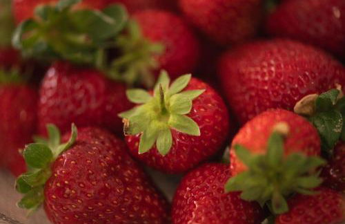 Casa Amorim Girão - Foto 42