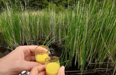 An den Sieben Seen - Foto 28