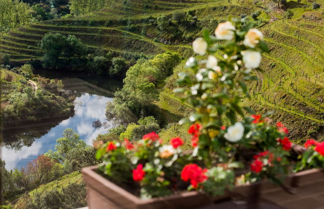Vila Gale Douro Vineyards Hotel - Foto 29