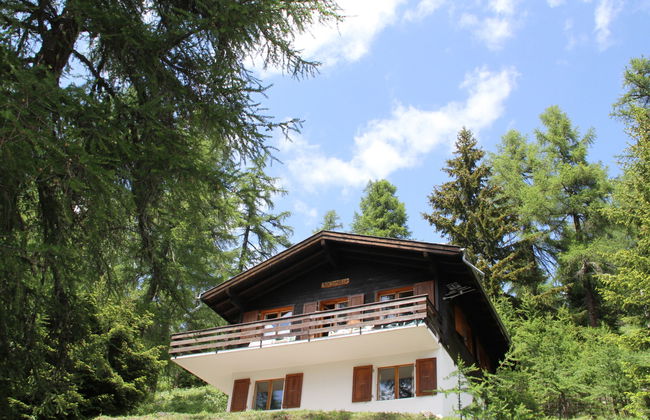 Chalet Soldanella (BEL205) - Foto 1