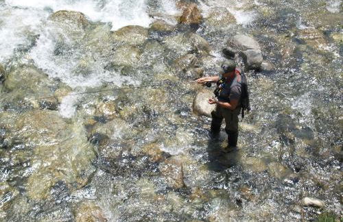 El Puente - Photo 31