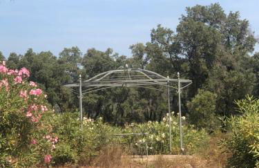 Maison Le Galino- Golfe de Saint Tropez - Foto 42