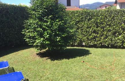 Lakeside Lago Maggiore - Foto 5