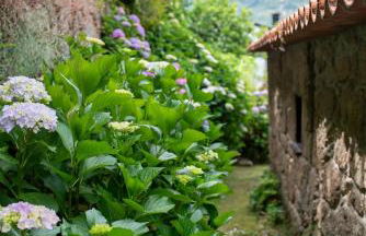 Casa da Torre, Porto Manso - Foto 60