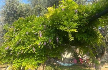 La Casa Del Nonno - Foto 42