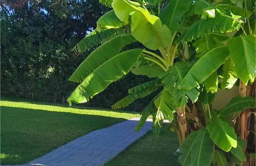 Panorama beach - Foto 52