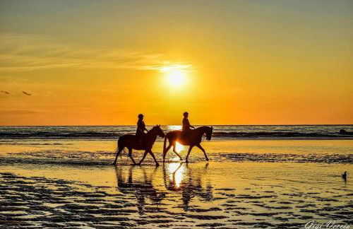 Horizon Bleu - Photo 18