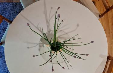 Między Sosnami - Foto 8