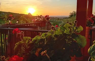 Poggio agli Ulivi vicolo di Colle Reti 22 Frascati - Foto 9