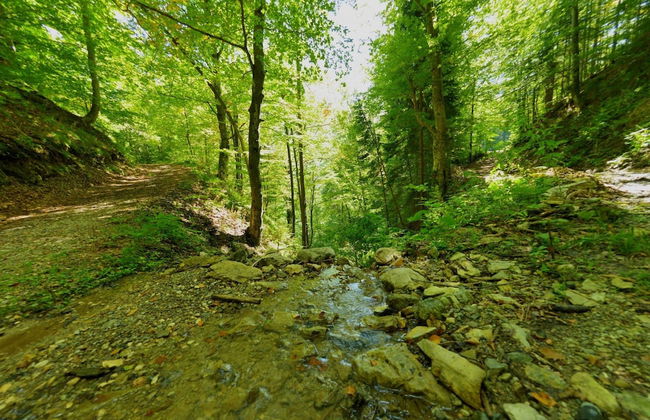 Jacobs Resort House Kranjska Gora - Foto 22