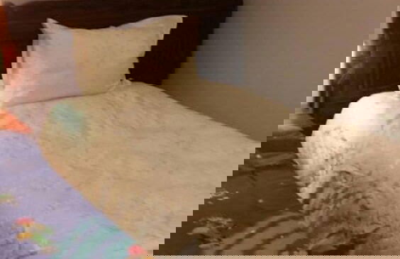 Cana Guest House - Photo 2