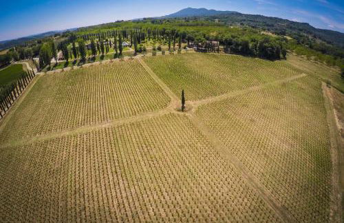 Agriturismo La Sovana - Photo 74