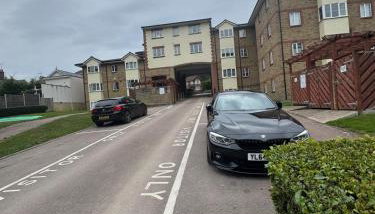 The Green Dream - Foto 4