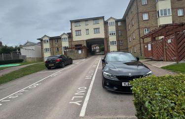 The Green Dream - Photo 20