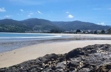 Las Gaviotas - Foto 26