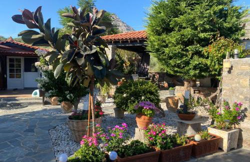 A wooden house in Kardamyla - Foto 23