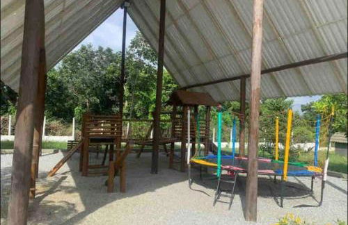 LD House- Bananeiras - Photo 34