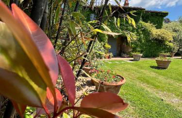 Villa Elena Tuscany - Pool & Garden Arezzo - IHH - Foto 45