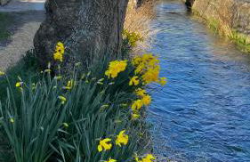 Historic, traditional & Spacious Wiltshire Cottage - Foto 45