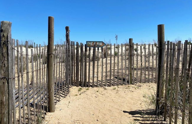 Beachcomber 5 - Photo 17