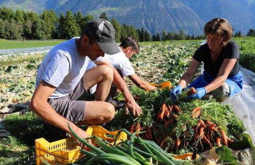 Bio-Bauernhof Mairinghof-Paris - Foto 34