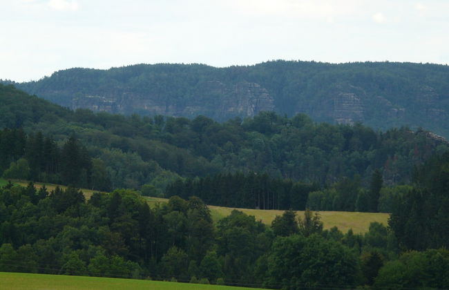 Sachsischer Wald Ruckzug - Foto 27