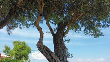 Beachfront Romantica place First floor - Foto 5