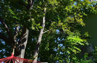 Isabel Artemis - Foto 54