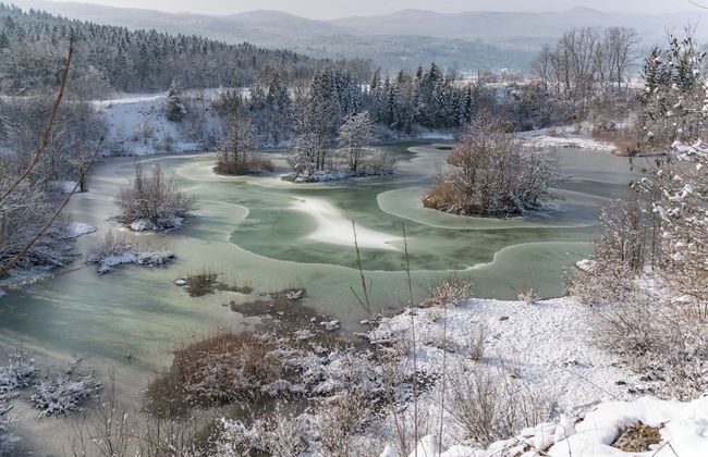 Forge Of Happiness - Foto 44