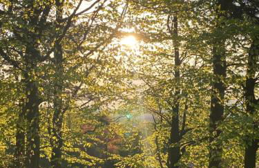 Oakdean Lodge in The Ribble Valley - Foto 17