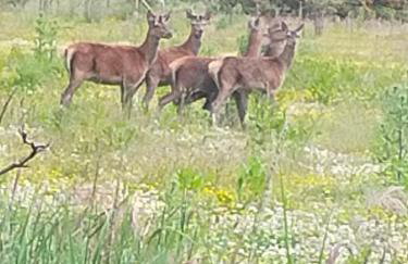 Middlehead Cottages - Foto 20