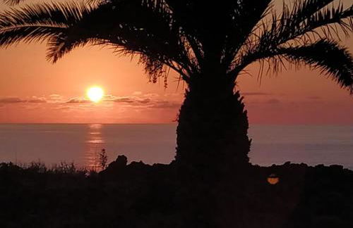 Finca Afortunada - Foto 25