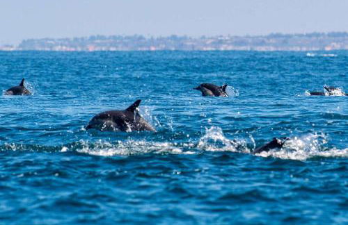 Altitude 25th floor luxury Penthouse - Foto 43