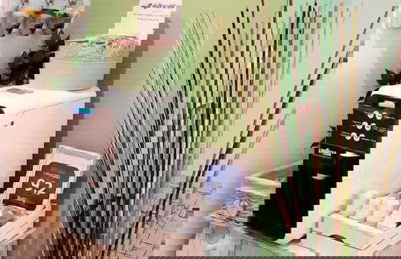 Il Mare di Roma - Photo 35