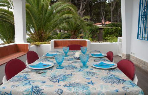 Sargantana Blava - Foto 18