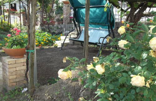 Le Mimose - Photo 79