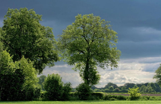 Farmhouse in Geesteren Near Forests - Photo 19