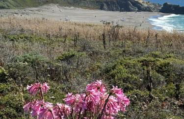 Ocean and Sunset Views - Cliff Side Cottage - Foto 28