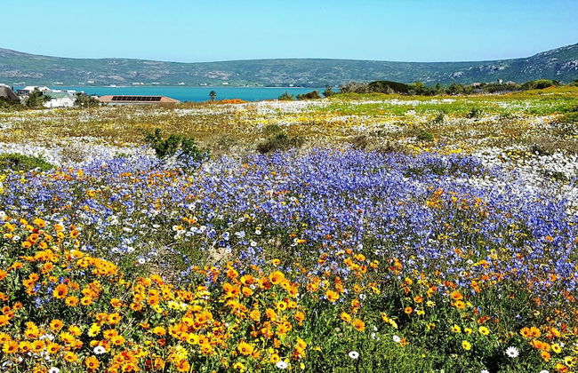 On the Beach 1, Langebaan 2-Sleeper - Foto 9